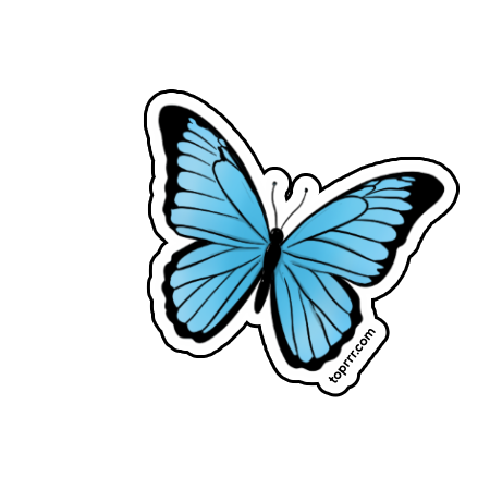 Morpho