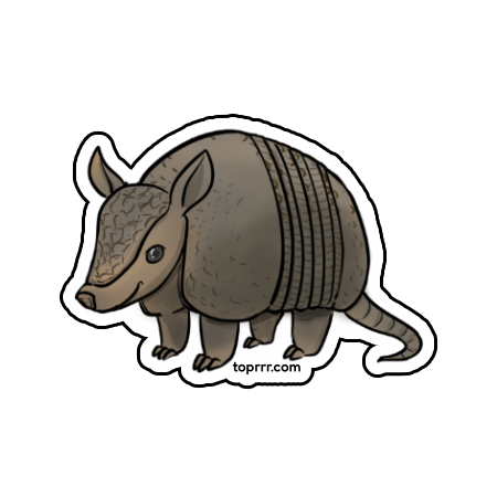 Armadillo