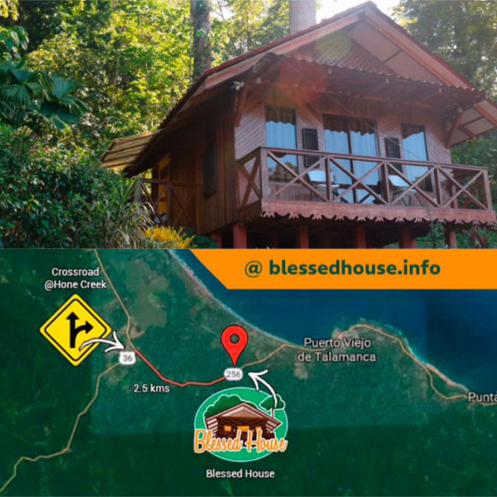 Blessed House